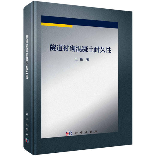隧道衬砌混凝土耐久性 商品图0