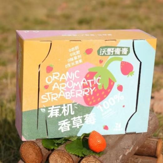 有机草莓  2.3斤/3斤【下单后10天内发货】 商品图7