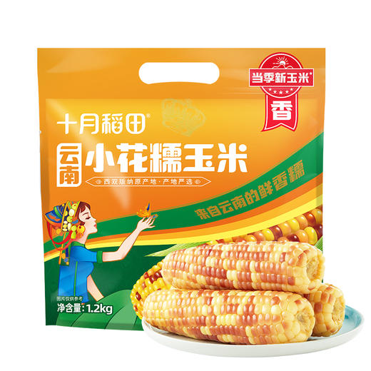 【西双版纳直采】十月稻田 云南小花糯玉米1.2kg（约6-7根）当季新玉米 商品图2
