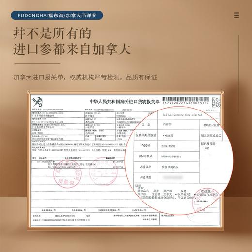 【福东海】加拿大西洋参50克 （沙金）/瓶 商品图2