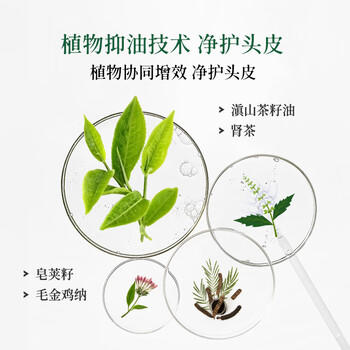 舒霖清爽控油洗发水蓬松去油舒缓头痒洗发露清洁头皮男士女士通用500g /个人护理 /洗发护发 /洗发水 商品图2