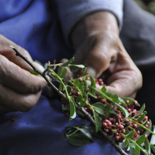 生态正路花椒 90g 商品图3