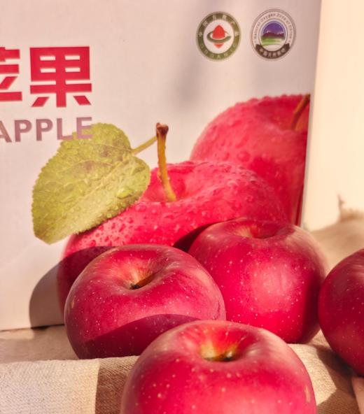 有机烟富苹果 脆甜多汁 口感丰富 有机认证 零农残更安心 商品图3