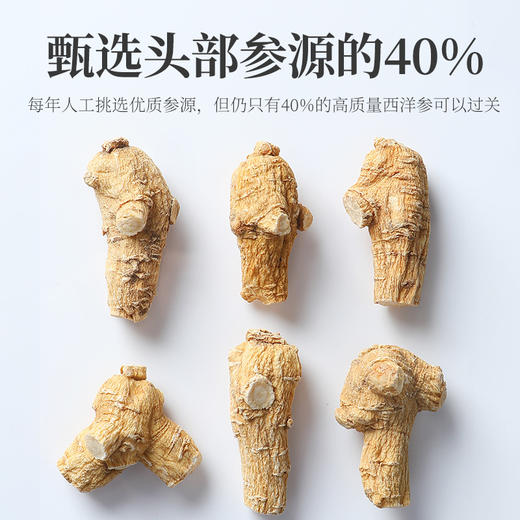 杞里香 西洋参段 抽屉盒装200g 加拿大进口花旗参段 短支西洋参段 送礼爸妈长辈 商品图4