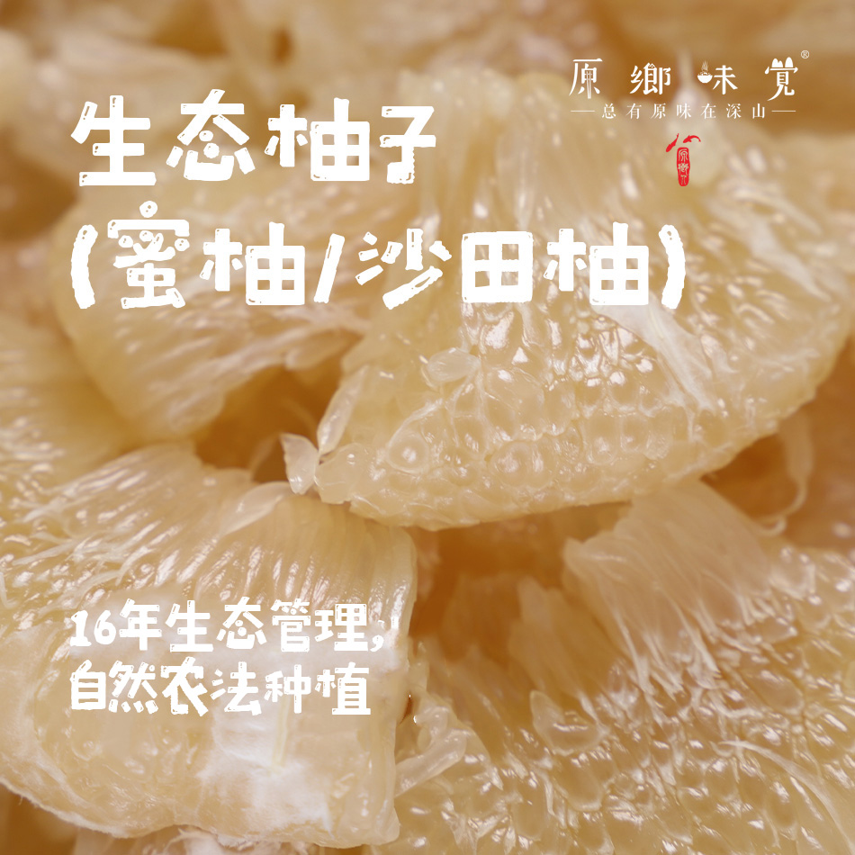 生态柚子/蜜柚/沙田柚（基地直发-顺丰包邮）|9斤/件，来自广西桂林，生产者：黄必江【合作生产，公平贸易】
