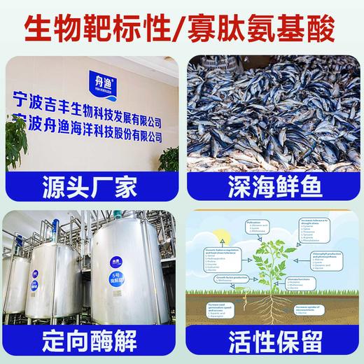 丹渔鱼蛋白高溶度有机水溶肥生根壮苗改良土壤膨果绿叶增甜正品 商品图3