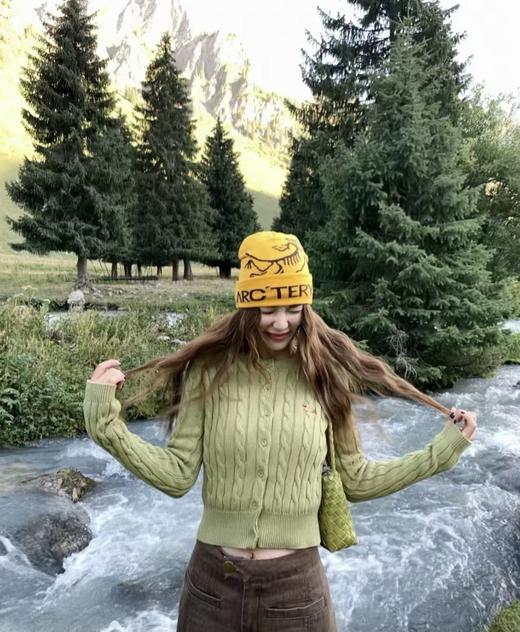 zm34-1-始祖鸟 毛线帽合集(MG) 商品图2