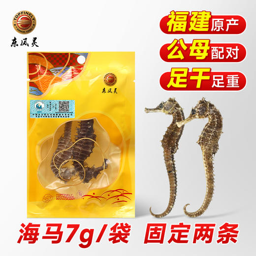 【福建刺海马】公母足克配对 肉眼可辨育籽囊 泡酒煲汤 商品图0