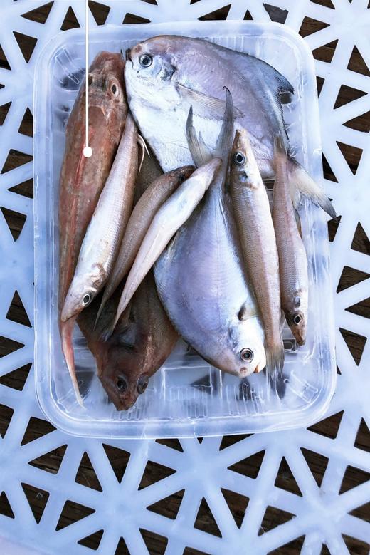 海杂鱼（4种鱼  1斤/盒） 商品图0