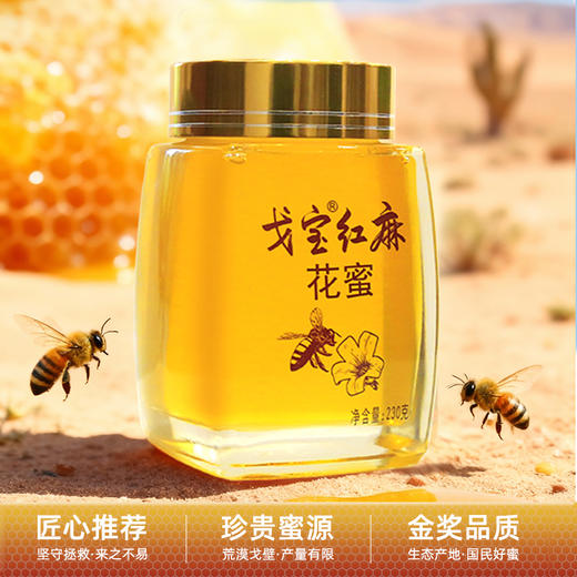 【戈宝红麻】花蜜 新疆阿勒泰罗布麻蜂蜜 早餐代餐伴侣 230g/罐 商品图1