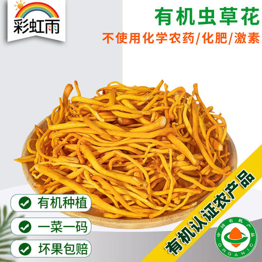 有机虫草花100g蔬菜炒食炖汤火锅新鲜采摘菌菇生鲜满额包邮 商品图0