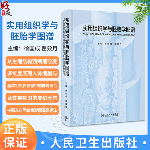 实用组织学与胚胎学图谱 徐国成 翟效月 主编 中英文对照结合彩图准确标注 既体现了学术严谨性又直观易懂 基础医学人民卫生出版社 商品图0