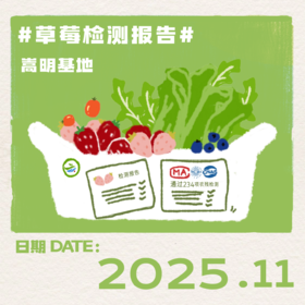 2025年11月-草莓检测报告(嵩明)