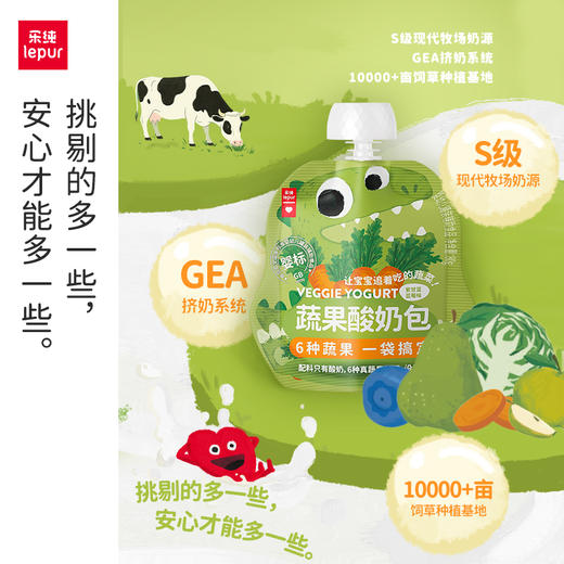 【推荐】乐纯宝宝酸奶蔬果酸奶包蓝莓味80g 商品图4