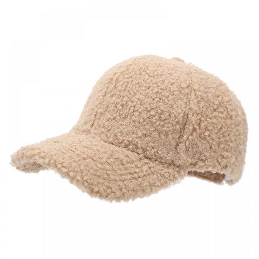 秋冬季保暖鸭舌帽羊羔绒棒球帽成人款六片帽子ZY1032 商品图3