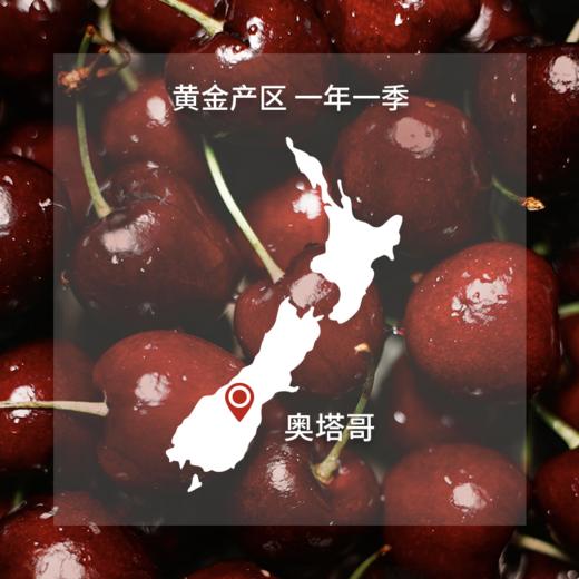 【预售1箱】oravida新西兰进口车厘子礼盒装30mm *1kg 商品图3