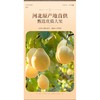 福东海雪梨片400克/袋 商品缩略图1