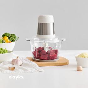 olayks.立时2L多功能绞肉机OLK-LP-21