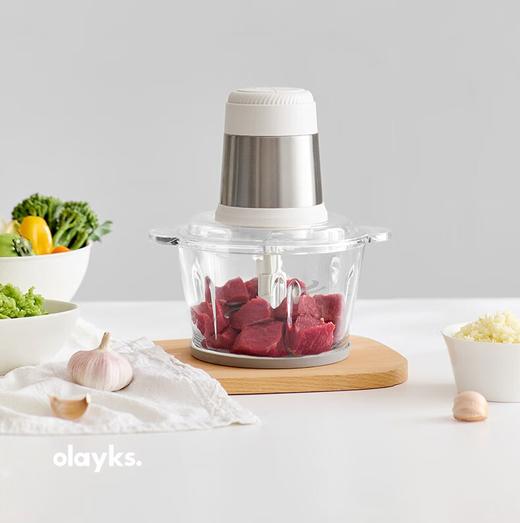 olayks.立时2L多功能绞肉机OLK-LP-21 商品图0
