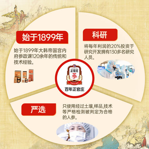 正官庄人参红参主根切片100g 商品图3