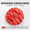 杞里香红枸杞子头茬有机认证特优级大果枸杞250g*2瓶 白色圆罐有机枸杞280粒无硫新货青海免洗苟杞 商品缩略图1