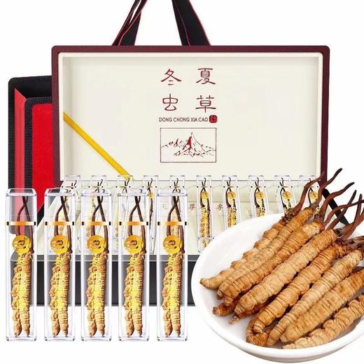 【福东海】冬虫夏草（全虫断草）5克 /盒礼盒 商品图0