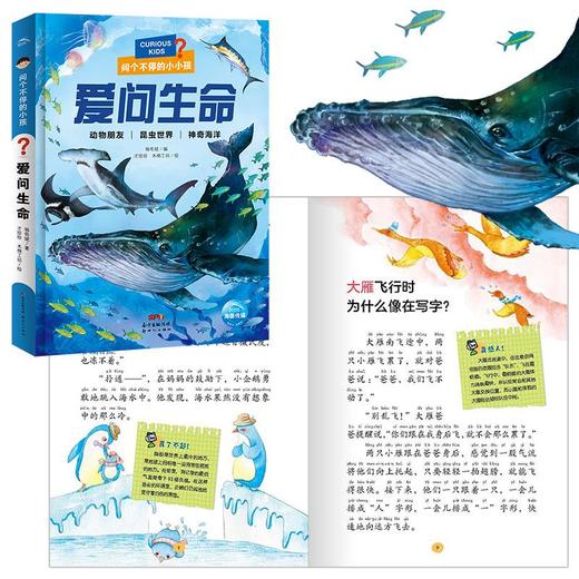 问个不停的小孩：全3册 商品图3