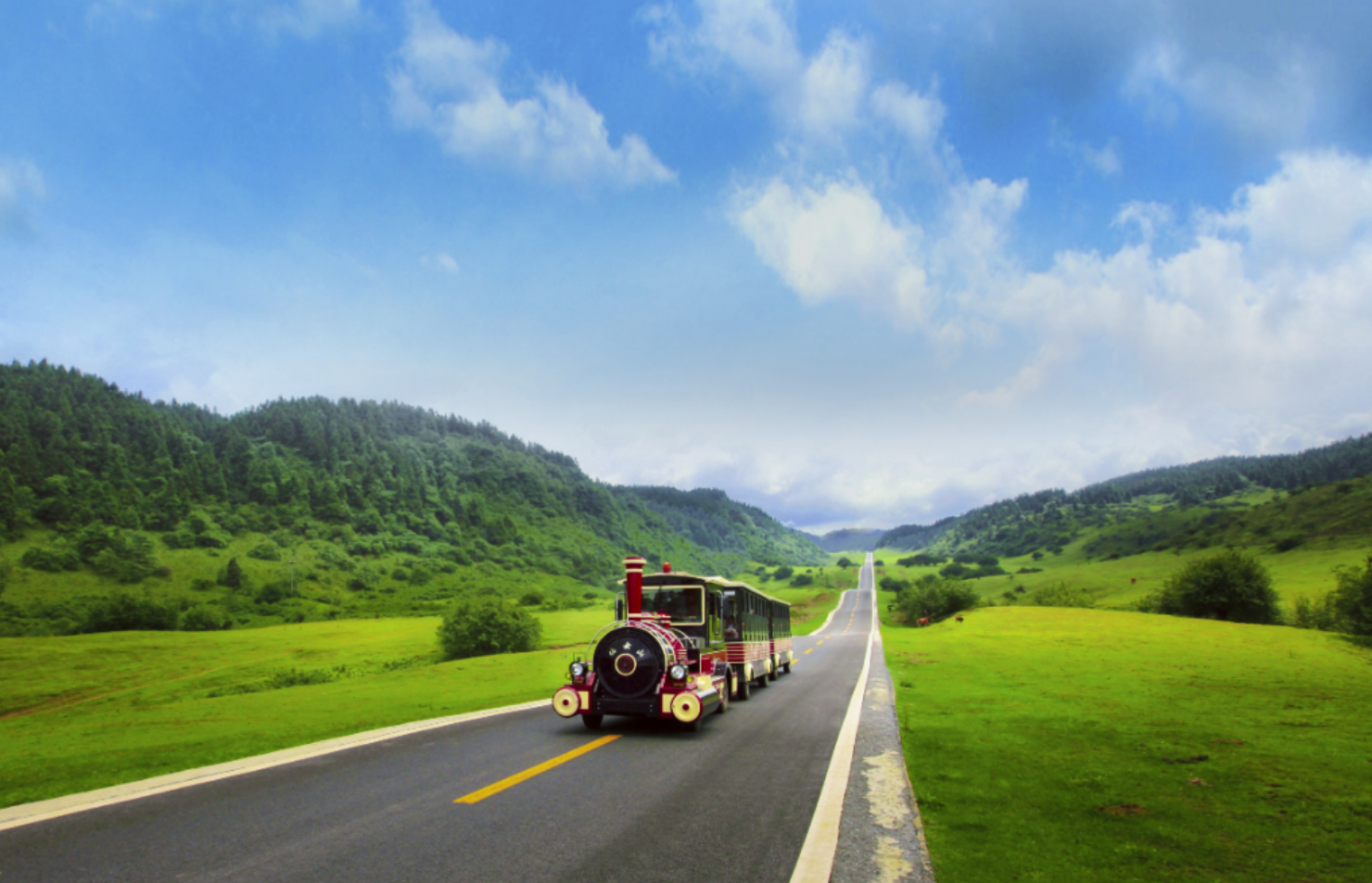 仙女山国家森林公园成人门票