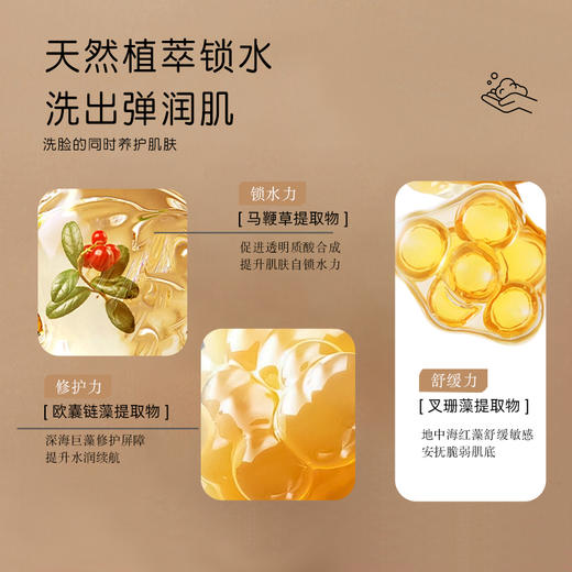 冰芙妮洁面膏深层清洁温和不刺激 125g/支 多规格 商品图6