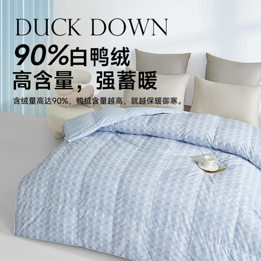 90法国白鸭绒被(海妮娅) 商品图4