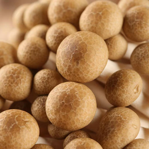 有机菌菇蟹味菇200g生鲜食用菌煲汤炒菜火锅满额包邮 商品图4