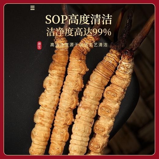 福东海 冬虫夏草10克特级品质整条( 3-4条/g） 商品图4