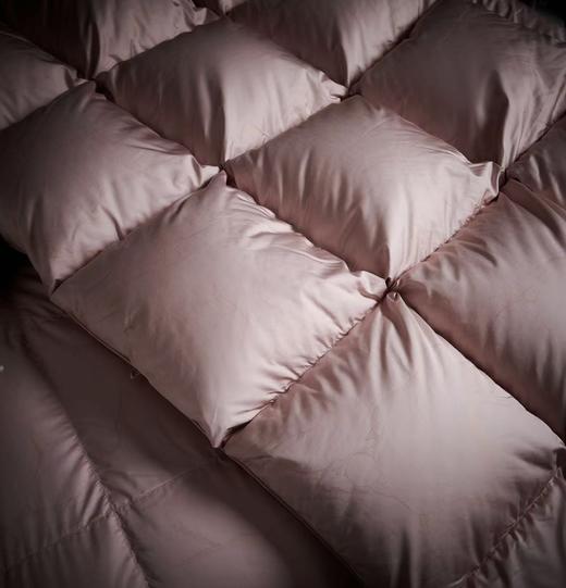 【恐龙厅】B7 丨恐龙悦彩臻品白鹅绒冬被/粉 商品图3