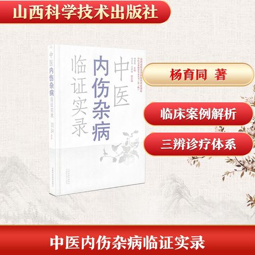 中医内伤杂病临证实录 商品图0