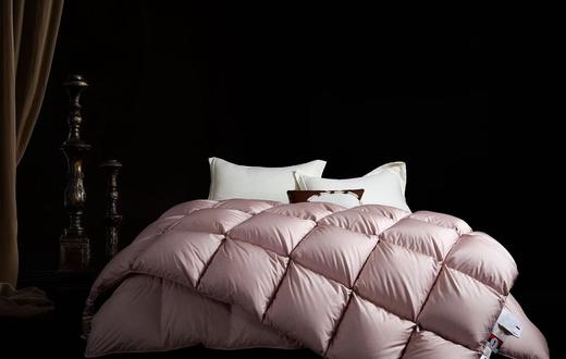 【恐龙厅】B7 丨恐龙悦彩臻品白鹅绒冬被/粉 商品图0