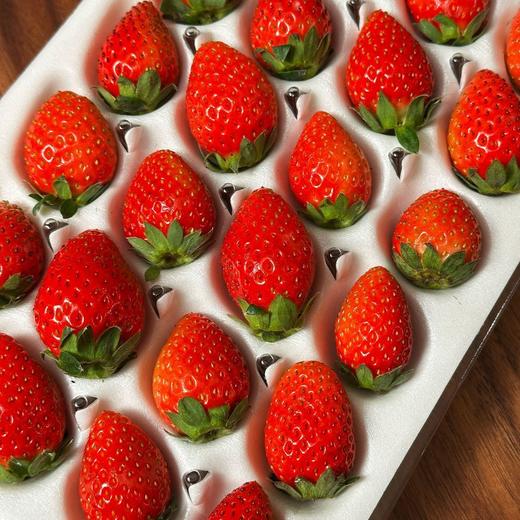 【顺丰快递】半坡阳光·糖果草莓 精选9成熟 熟一颗挑采一颗 一般地方吃不到的香甜味道 ABPYG 商品图3
