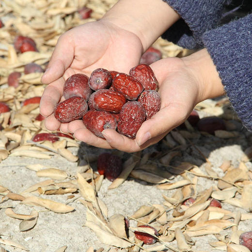 【25年新枣】【买5斤送1斤】新疆树上风干枣 灰枣  未洗红枣 初级农产品 干果 坚果 商品图5