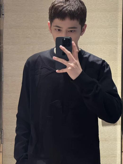 驴家  25FW monogram暗纹大花圆领针织衫（DY） 商品图2