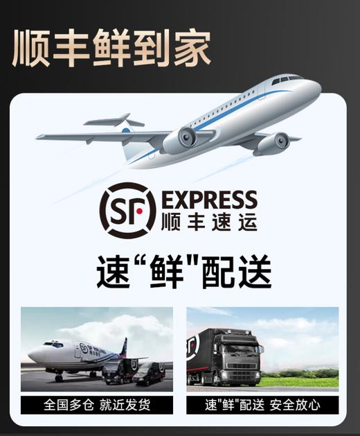 【海朴】进口黑虎虾  活冻海捕黑虎虾1.5KG 商品图8