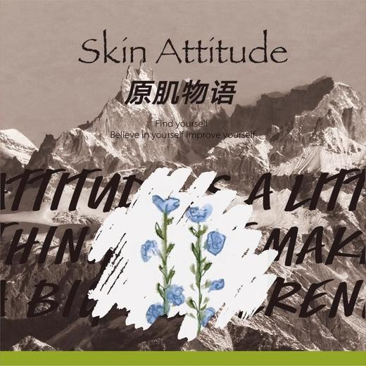 SkinAttitude原肌物语 海盐无花果泡沫洗手液温和清洁滋润保湿 商品图4