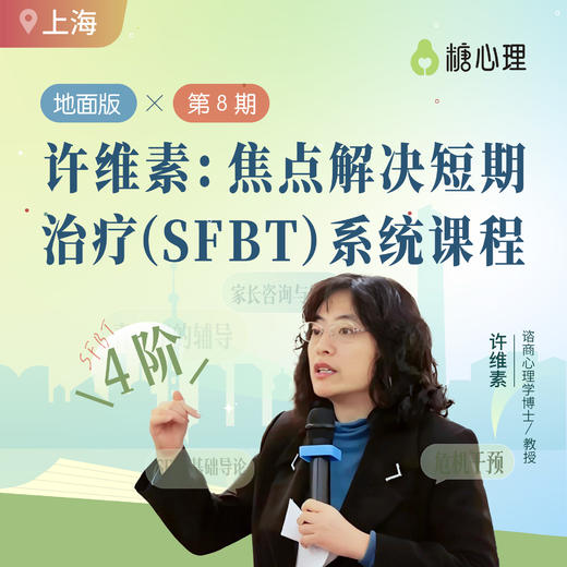【许维素：青少年系列】SFBT应用于家长咨询与辅导 商品图0