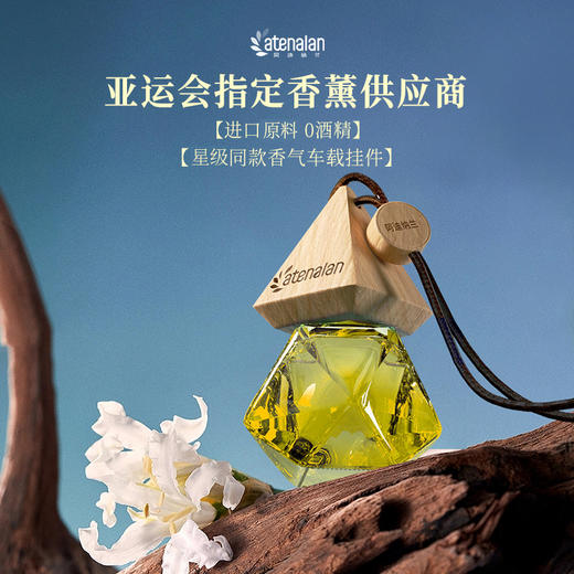 阿迪纳兰车载香氛挂件 持久淡香车内除异味汽车香水挂饰 商品图1