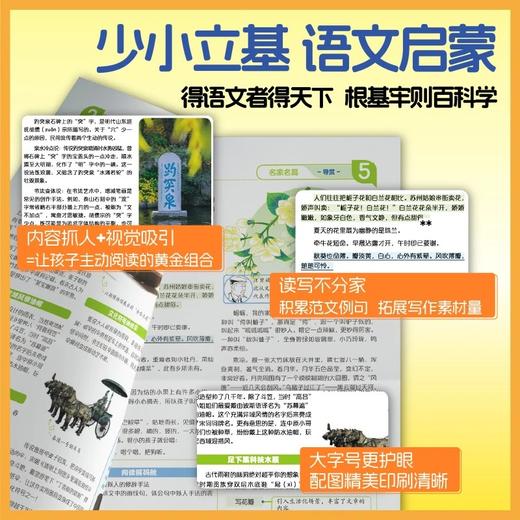 【语文导报】新版杂志报纸新课标小学一二三四五六年级初中、高中必读全年订阅期刊订阅征订语文阅读混知漫画【悦刊图书】 商品图3