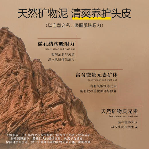 冰芙妮洗发水50g 旅行装控油去屑 商品图9