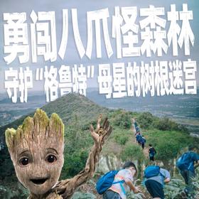 【2025.12】《山野有力量》亲子登山徒步之《勇闯八爪怪森林，守护“格鲁特”母星的树根迷宫》