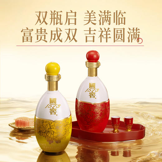 【酒厂直营】55度国窖1573生命中的那坛酒 011/1L*2    泸州老窖官方旗舰店 商品图2