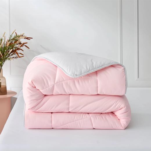 内野-T-A类抗菌纤柔被 商品图2