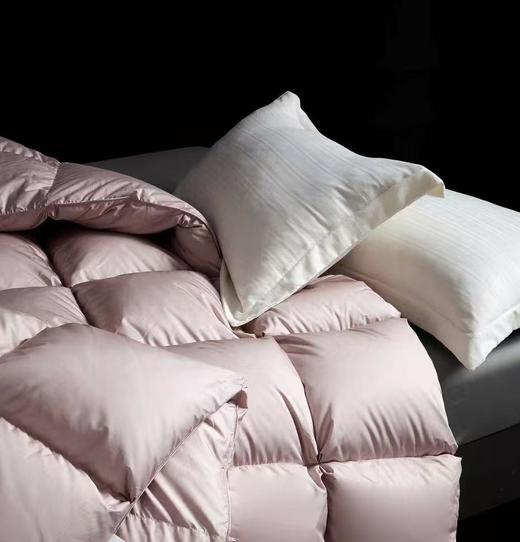 【恐龙厅】B7 丨恐龙悦彩臻品白鹅绒冬被/粉 商品图6