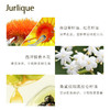 茱莉蔻（Jurlique）柔嫩保湿洁颜油200ML 温和卸妆深层清洁保湿护肤品 商品缩略图3