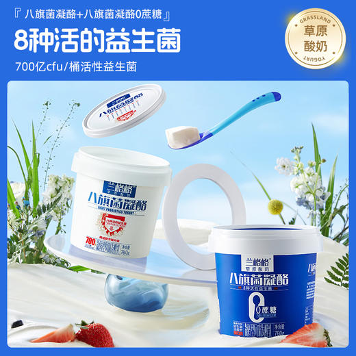 兰格格内蒙古草原酸奶八旗菌凝酪760g*1桶+凝酪0蔗糖760g*1桶 商品图2